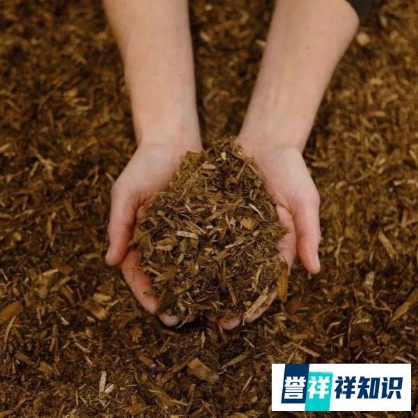 全球首家：把遗体变土壤肥料的殡仪馆，坚持可持续殡葬，太颠覆了