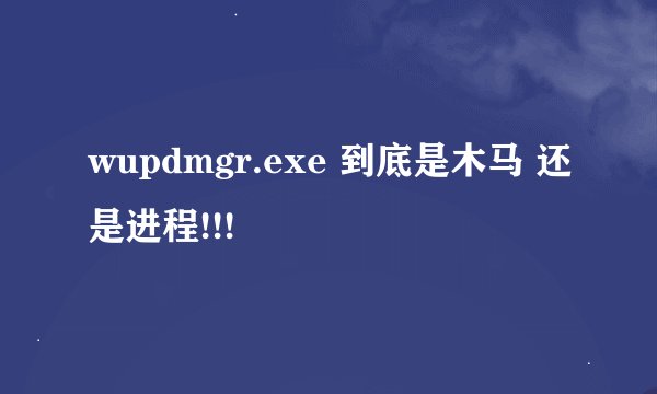 wupdmgr.exe 到底是木马 还是进程!!!