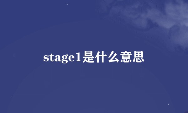 stage1是什么意思
