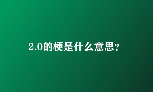 2.0的梗是什么意思？