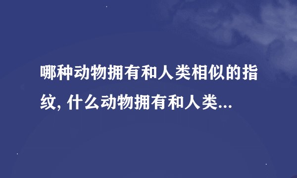 哪种动物拥有和人类相似的指纹, 什么动物拥有和人类相似的指纹