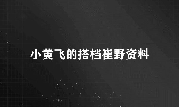 小黄飞的搭档崔野资料