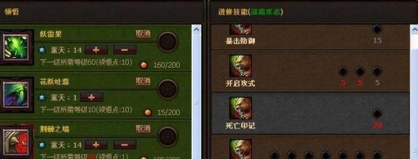 斗战神果子狸加点