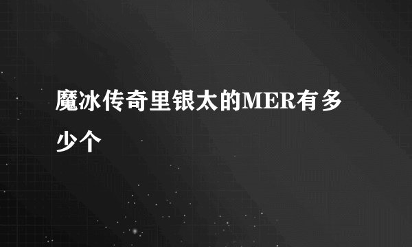 魔冰传奇里银太的MER有多少个