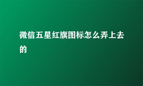 微信五星红旗图标怎么弄上去的