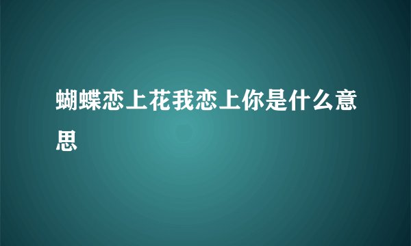 蝴蝶恋上花我恋上你是什么意思