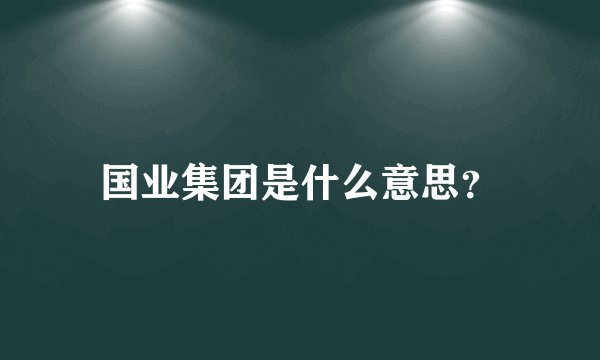 国业集团是什么意思?