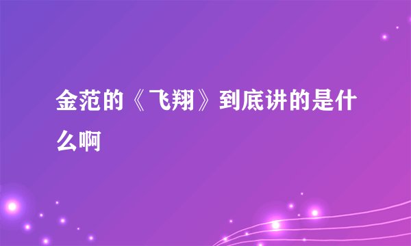 金范的《飞翔》到底讲的是什么啊