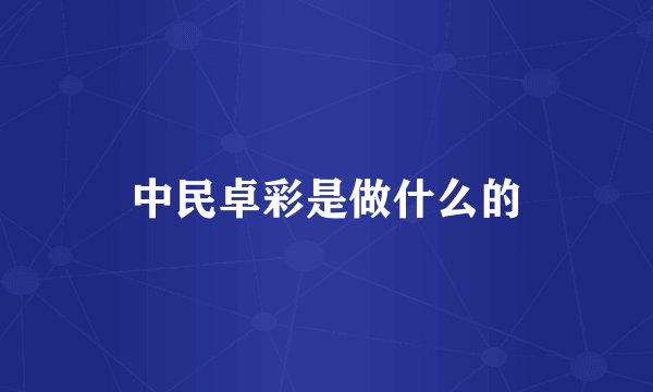 中民卓彩是做什么的