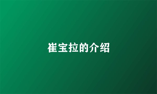 崔宝拉的介绍