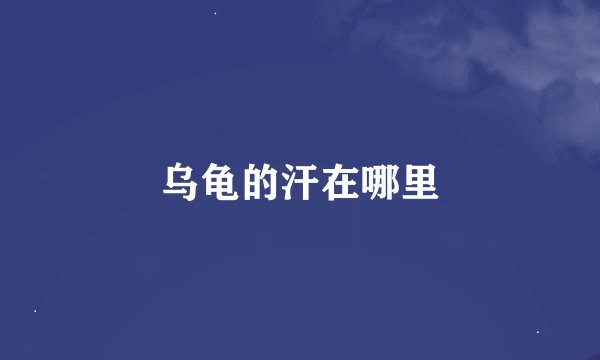乌龟的汗在哪里