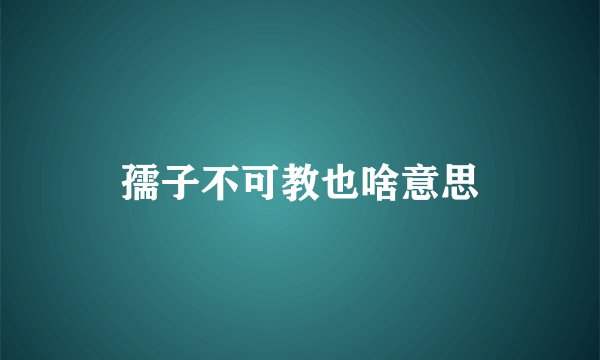 孺子不可教也啥意思