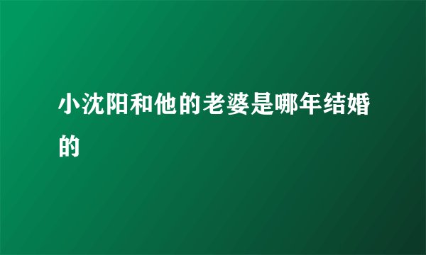 小沈阳和他的老婆是哪年结婚的