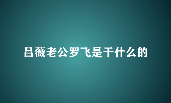 吕薇老公罗飞是干什么的