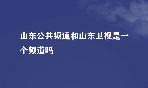 山东公共频道和山东卫视是一个频道吗