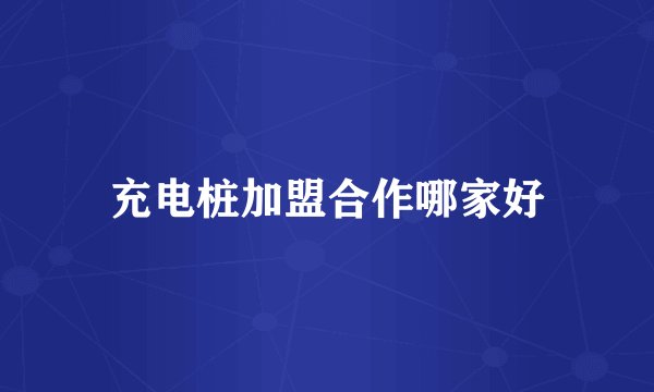 充电桩加盟合作哪家好