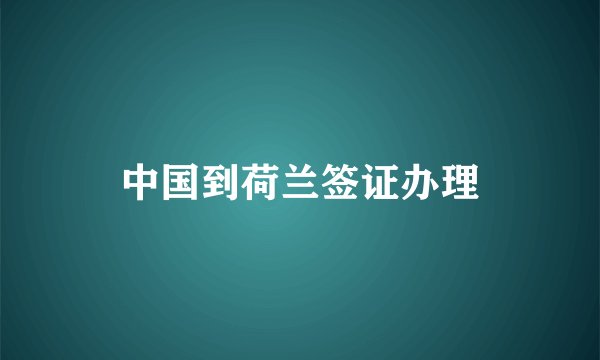 中国到荷兰签证办理
