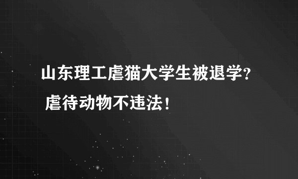 山东理工虐猫大学生被退学？ 虐待动物不违法！