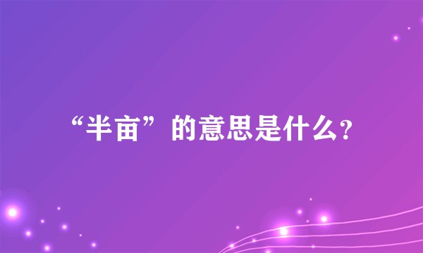 “半亩”的意思是什么？