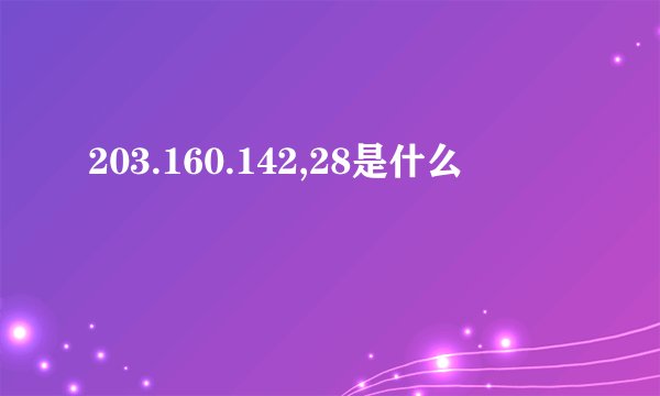 203.160.142,28是什么