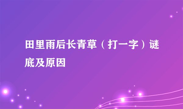 田里雨后长青草（打一字）谜底及原因