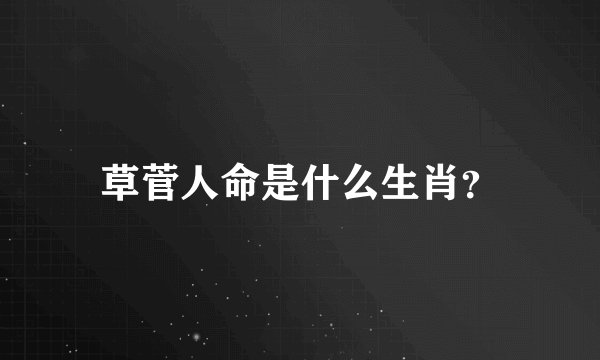 草菅人命是什么生肖？