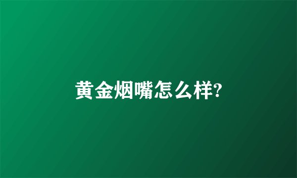 黄金烟嘴怎么样?