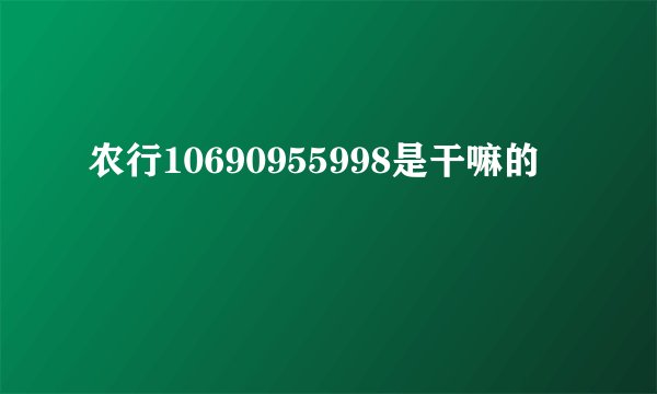 农行10690955998是干嘛的