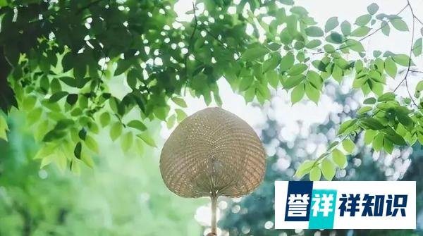温风至,小暑来,十二首最美的小暑诗词,遇见美好的夏日时光!
