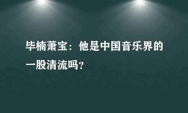 毕楠萧宝：他是中国音乐界的一股清流吗？