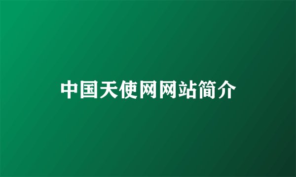 中国天使网网站简介