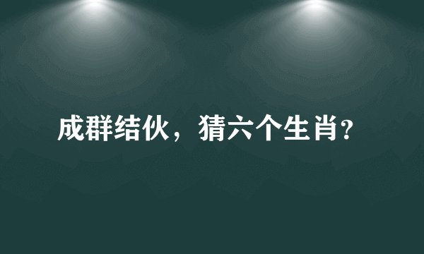 成群结伙，猜六个生肖？