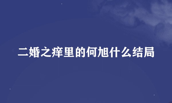 二婚之痒里的何旭什么结局