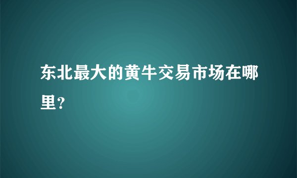 东北最大的黄牛交易市场在哪里？