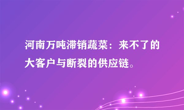 河南万吨滞销蔬菜：来不了的大客户与断裂的供应链。