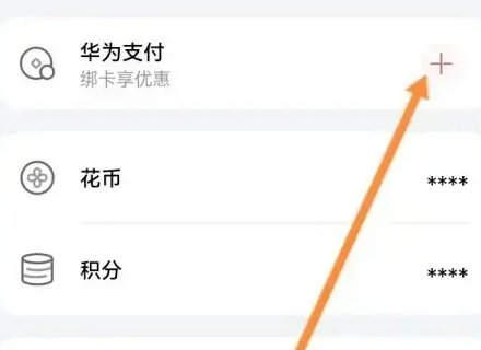 花瓣支付在哪里打开