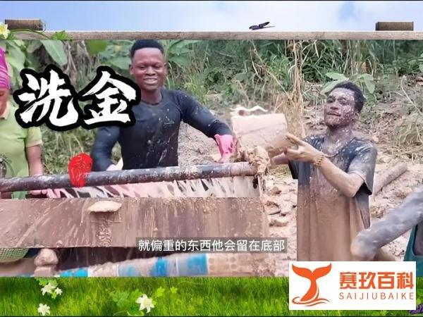 抢夺、驱逐与亏损：非洲创业路上的辛酸与现实
