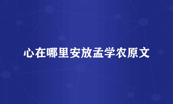 心在哪里安放孟学农原文