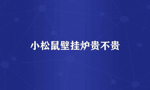 小松鼠壁挂炉贵不贵