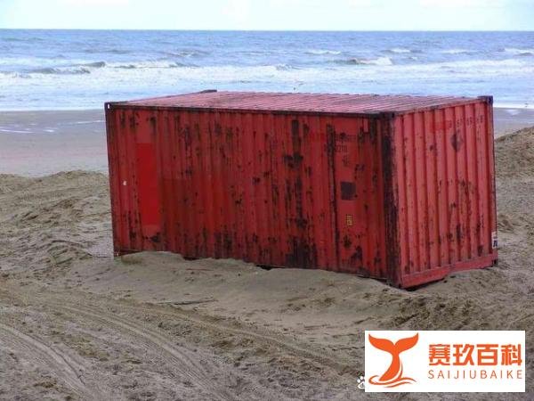 代理报关公司收费标准是多少