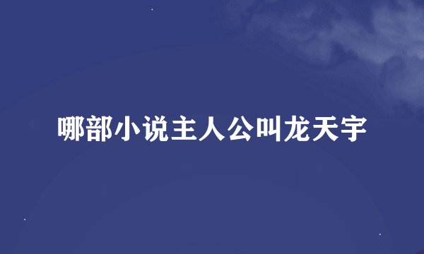 哪部小说主人公叫龙天宇