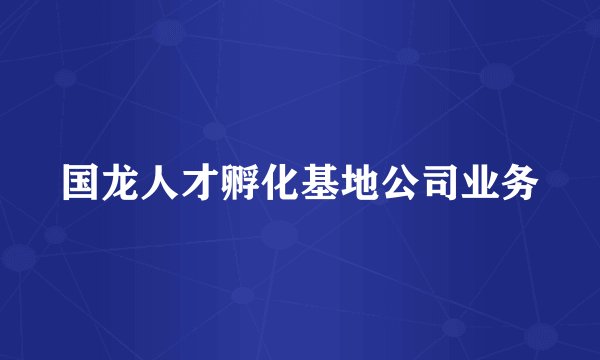 国龙人才孵化基地公司业务
