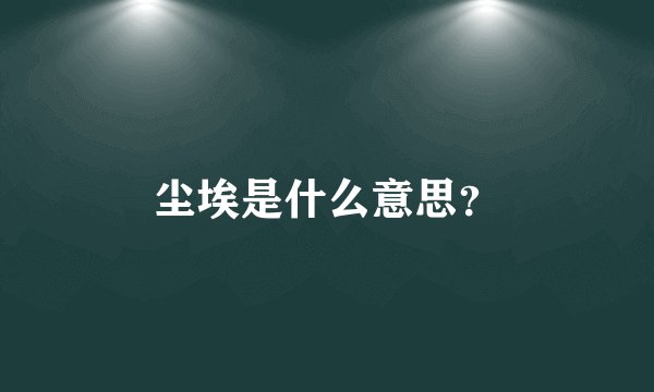 尘埃是什么意思?