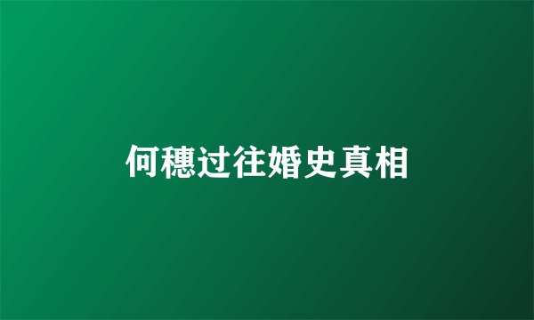 何穗过往婚史真相