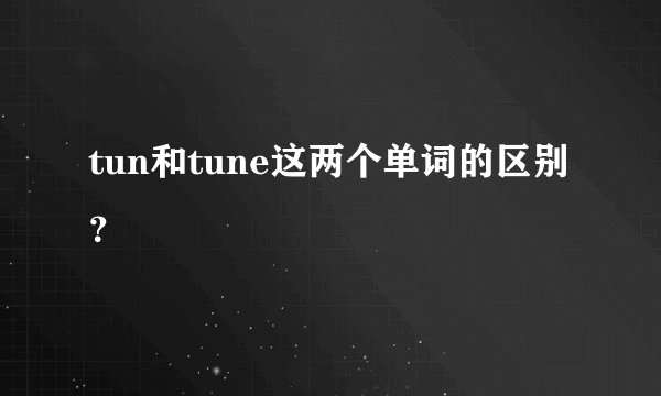 tun和tune这两个单词的区别?