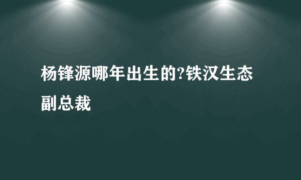 杨锋源哪年出生的?铁汉生态副总裁