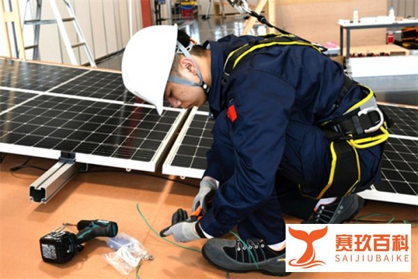 中法双语阅读｜中国队在世界技能大赛上获得8枚金牌