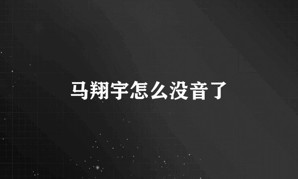 马翔宇怎么没音了