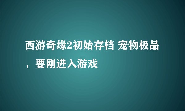 西游奇缘2初始存档 宠物极品，要刚进入游戏