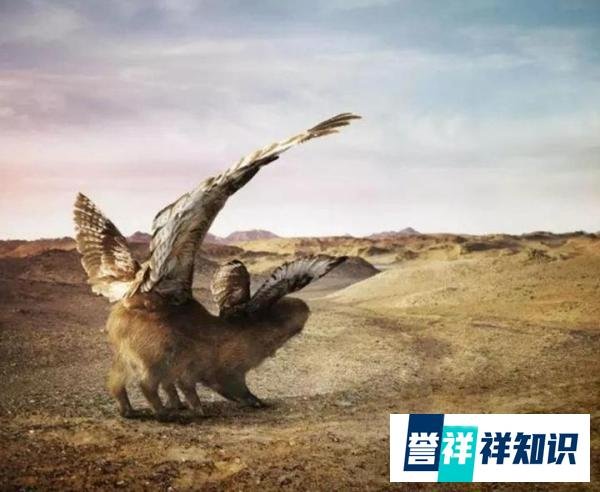 龚琳娜再出神曲《帝江混沌》，一分钟唱出270字！